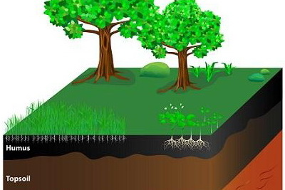 A Combination of Multiple Functions of Humic Acid