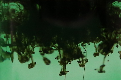 Mechanism of Humic Acid for Promoting Plant Growth