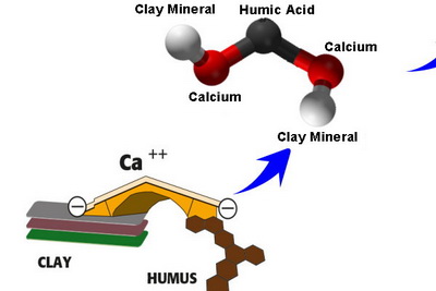 The Secrets of Humic Acid Part 2