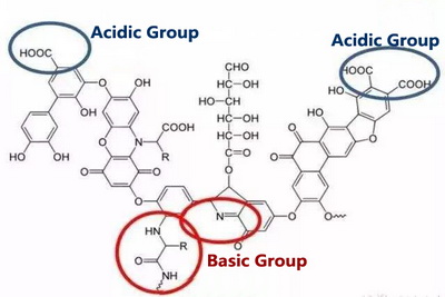 The Functions of Humic Acid in Soil Improvement