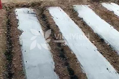 Humic Substances in Soil Organic Matter