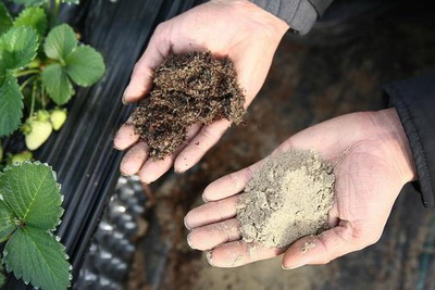 Humic Substance and Soil Fertility
