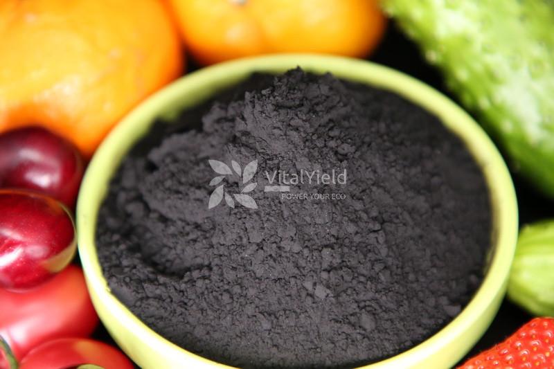 Humic Acid Powder