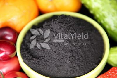 Humic Acid Powder