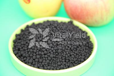 Humic Acid Granule