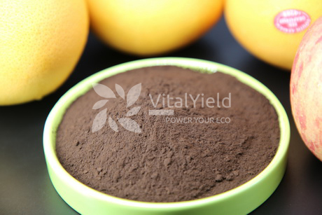 Fulvic Acid Powder